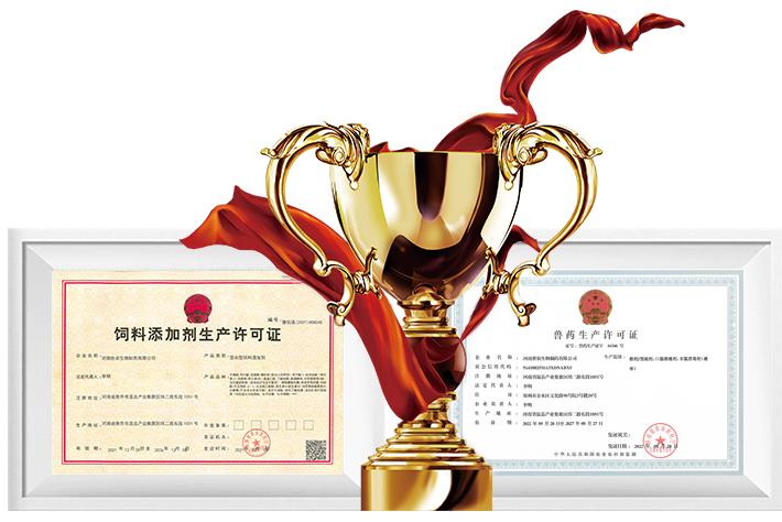 專業鑄就品質，技術創造價值